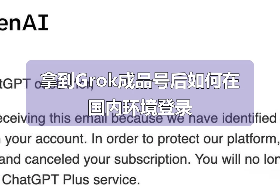 拿到Grok成品号后如何在国内环境登录